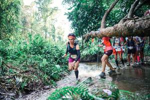 BIB: 
                            <button type="button" onclick="openModal(25460653)" class="btn btn-primary btn-sm float-right btn-popup" data-toggle="modal" data-target=".modal-high-quality">
                        <i class="fas fa-shopping-cart"></i> Add to Cart
                    </button>
                                            <button type="button" onclick="isThisMe(25460653, true)" class="btn btn-success btn-sm float-right btn-popup btn-isme hidden" data-toggle="tooltip" data-placement="bottom" title="นี่คือรูปของคุณใช่ไหม คลิกที่นี่เพื่อเอาเข้าอัลบั้ม">
                        <i class="fas fa-plus"></i> Add to album
                    </button>
                    <button type="button" onclick="isThisMe(25460653, false)" class="btn btn-warning btn-sm float-right btn-popup btn-isnotme hidden">
                        <i class="fas fa-ban"></i> Remove from album
                    </button>